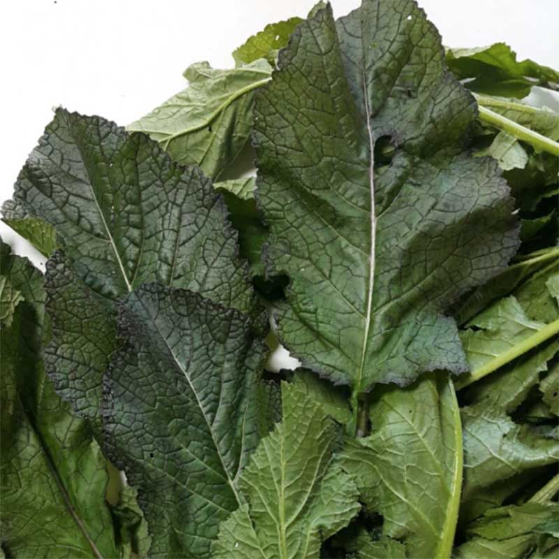 Mustard Eolcheoung - 얼청갓 image 0