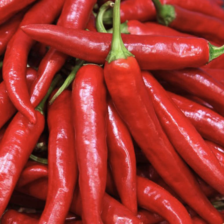 Pepper Red : Mild - 홍고추 image 0