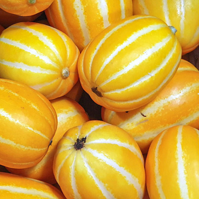 Melon Korean - 참외 image 0