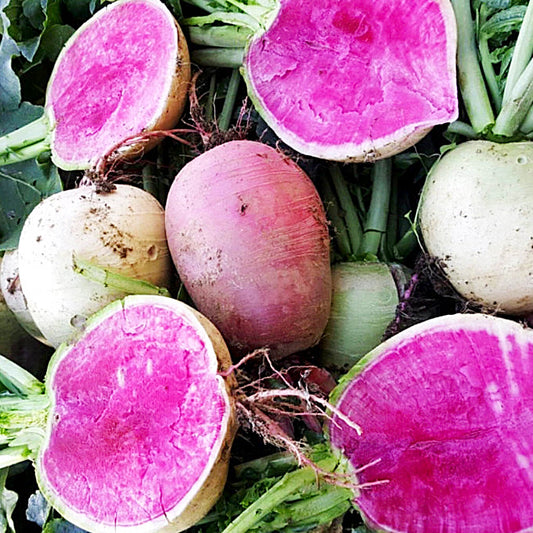 Radish Watermelon - 수박무 image 0