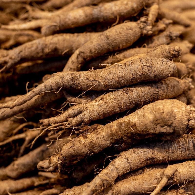 Korean Lance Asiabell : Deodeok - 더덕 image 0