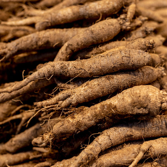 Korean Lance Asiabell : Deodeok - 더덕 image 0